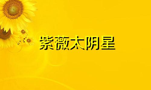 紫薇太阴星 太阳星太阴星紫微星地位