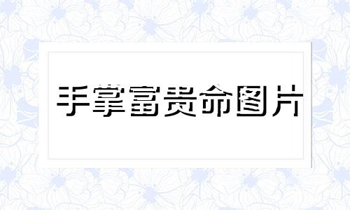 手掌富贵命图片 从手掌看你一生富贵层次