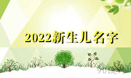 2022新生儿名字 2021年新生婴儿名字