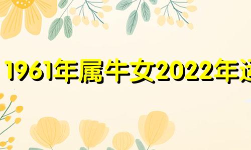 1961年属牛女2022年运势 1961年属牛未来十年运势女