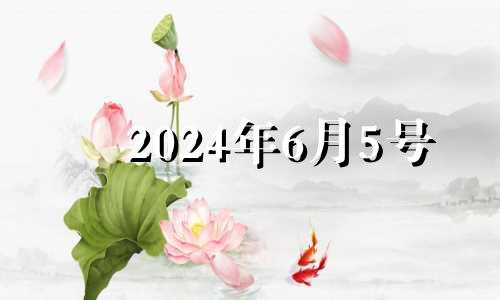 2024年6月5号 2024年6月6日星期几