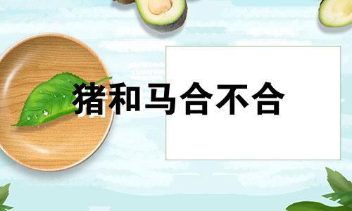猪和马合不合 猪和马合不合适婚姻相配
