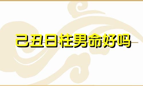 己丑日柱男命好吗 己丑日柱男命配偶长相