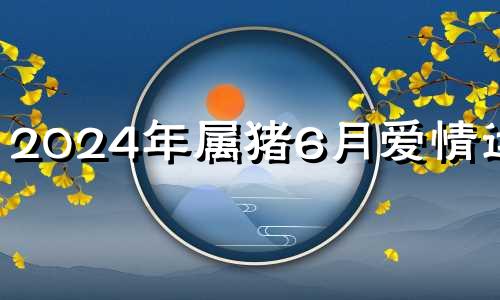 2024年属猪6月爱情运势
