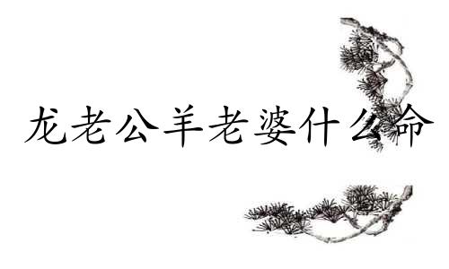 龙老公羊老婆什么命 属羊和属龙婚姻怎么样