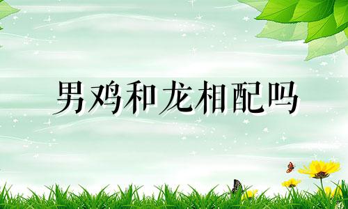 男鸡和龙相配吗 生肖鸡男与生肖龙女的配对分析