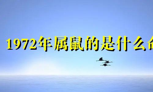 1972年属鼠的是什么命 1972年属鼠五行属什么水