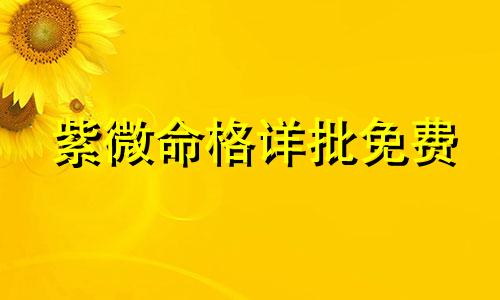 紫微命格详批免费 紫微命格是什么意思