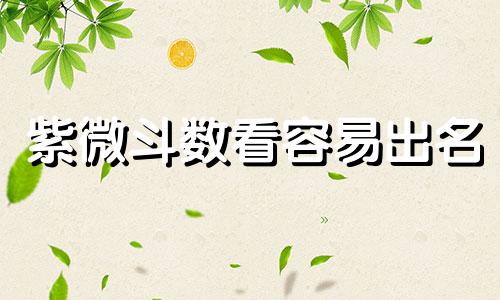 紫微斗数看容易出名 紫薇斗数看