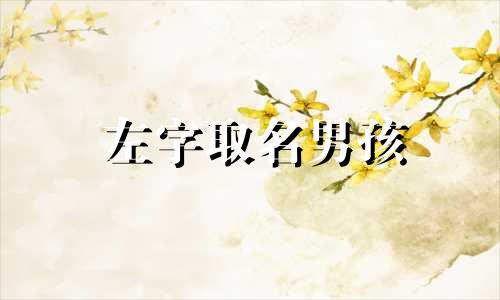 左字取名男孩 左字取名字大全