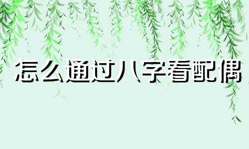 怎么通过八字看配偶 怎么从八字看配偶性格
