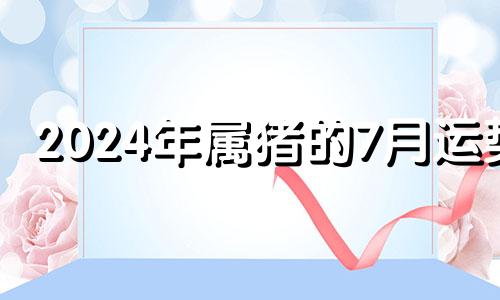 2024年属猪的7月运势 2024年猪人财运