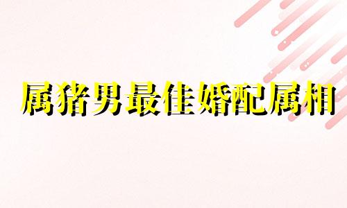 属猪男最佳婚配属相 属狗男最佳婚配