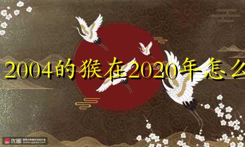 2004的猴在2020年怎么样 2004年属猴年龄