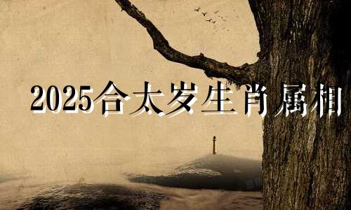 2025合太岁生肖属相 21年合太岁