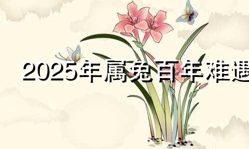 2025年属兔百年难遇