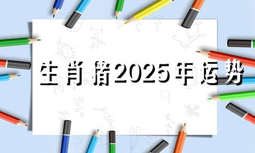 生肖猪2025年运势 属猪2025年运势及运程