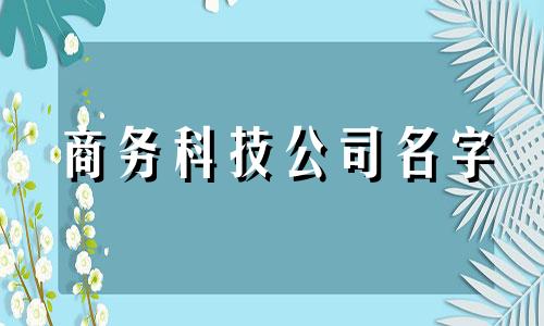 商务科技公司名字 