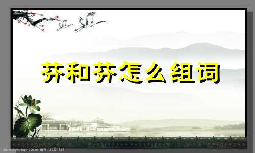 芬和芬怎么组词