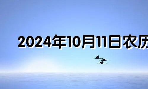 2024年10月11日农历 2024年10月14号适合领结婚证吗