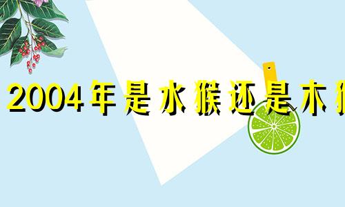 2004年是水猴还是木猴? 2004年属猴泉中水命