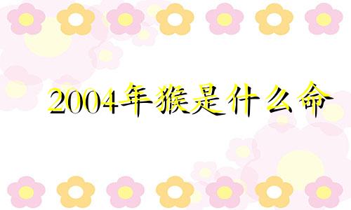 2004年猴是什么命 命里缺什么