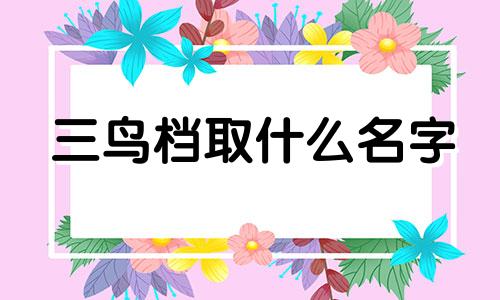 三鸟档取什么名字 三鸟是什么牌子