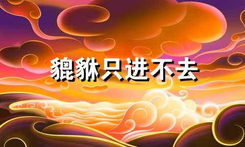 貔貅只进不去 貔貅只进不出吗