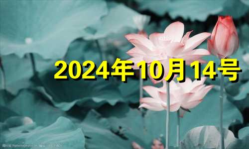 2024年10月14号 2024年10月10日是星期几