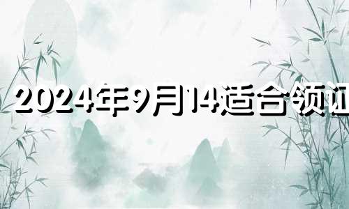 2024年9月14适合领证吗 2024年9月14号适合领结婚证吗