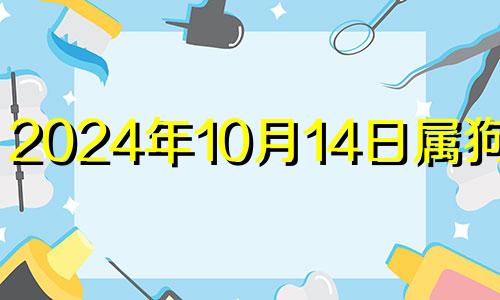 2024年10月14日属狗运势 2024年10月14五行穿衣