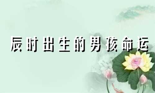 辰时出生的男孩命运 蛇年辰时出生的女孩命运