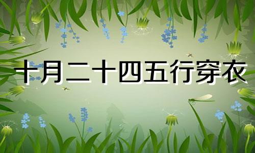 十月二十四五行穿衣 2024年10月24号五行穿衣