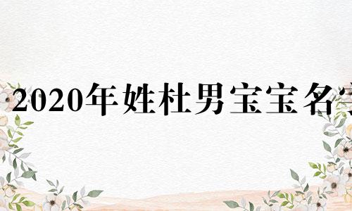 2020年姓杜男宝宝名字
