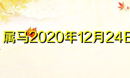 属马2020年12月24日运势 2024年12月24日五行穿衣