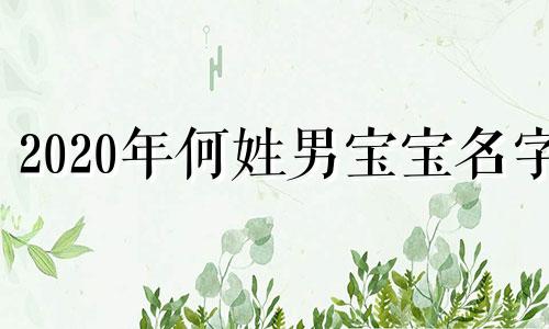 2020年何姓男宝宝名字