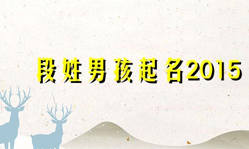 段姓男孩起名2015 段姓男宝宝名字大全