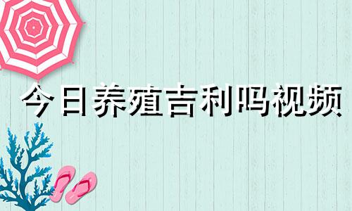 今日养殖吉利吗视频 今天养殖什么比较好