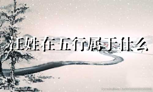 汪姓在五行属于什么 