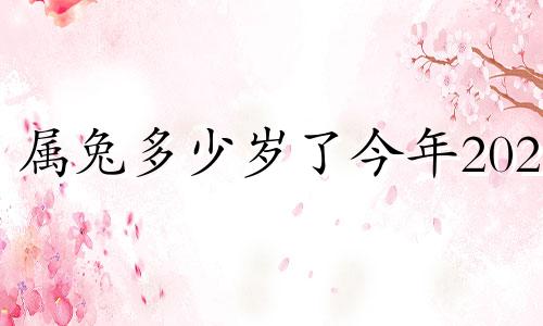 属兔多少岁了今年2024 属兔多少岁了今年多大了