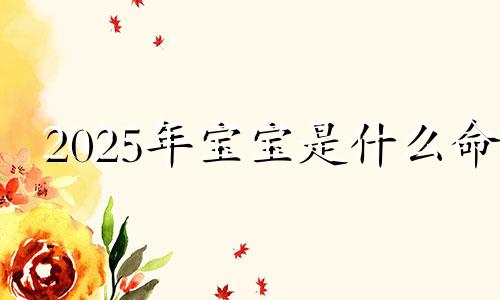 2025年宝宝是什么命