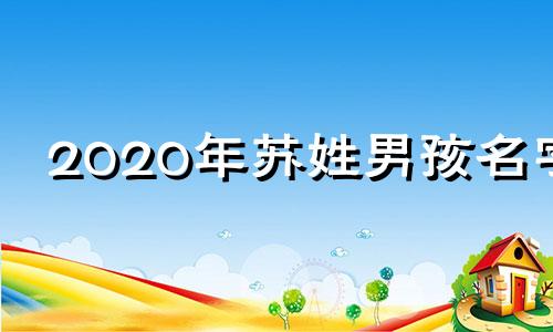 2020年苏姓男孩名字 2024新生儿男孩名字姓苏名字
