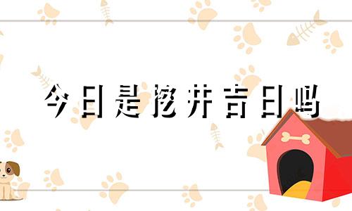 今日是挖井吉日吗 今天挖井是个好日子吗