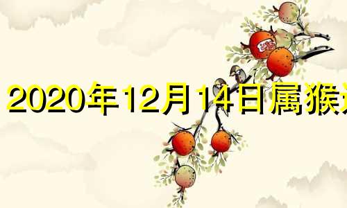 2020年12月14日属猴运势 2020.12.14五行穿衣