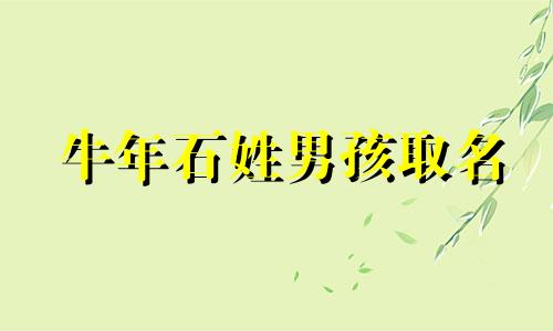 牛年石姓男孩取名 2024年石姓男孩名字大全属牛