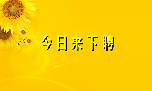 今日来下聘 今天来下聘