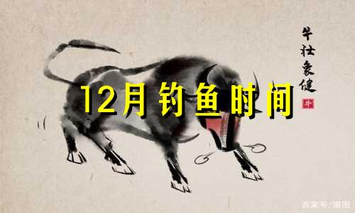 12月钓鱼时间 