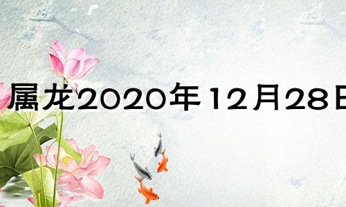 属龙2020年12月28日运势 2024年十二月
