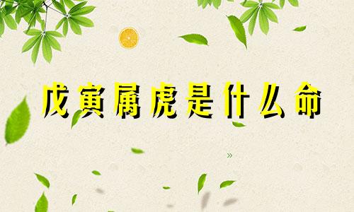 戊寅属虎是什么命 戊寅虎是哪一年