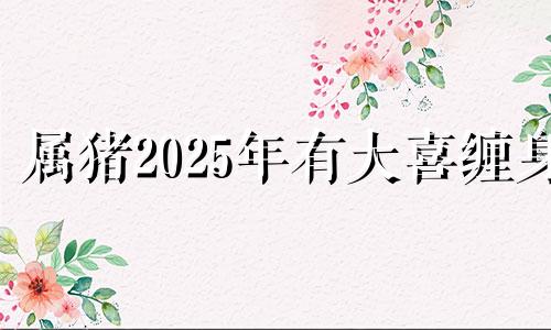 属猪2025年有大喜缠身 1983年猪女2022年感情与婚姻